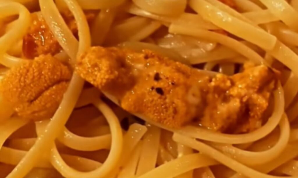 pasta a forme di linguine, ricci di mare, acqua di cottura