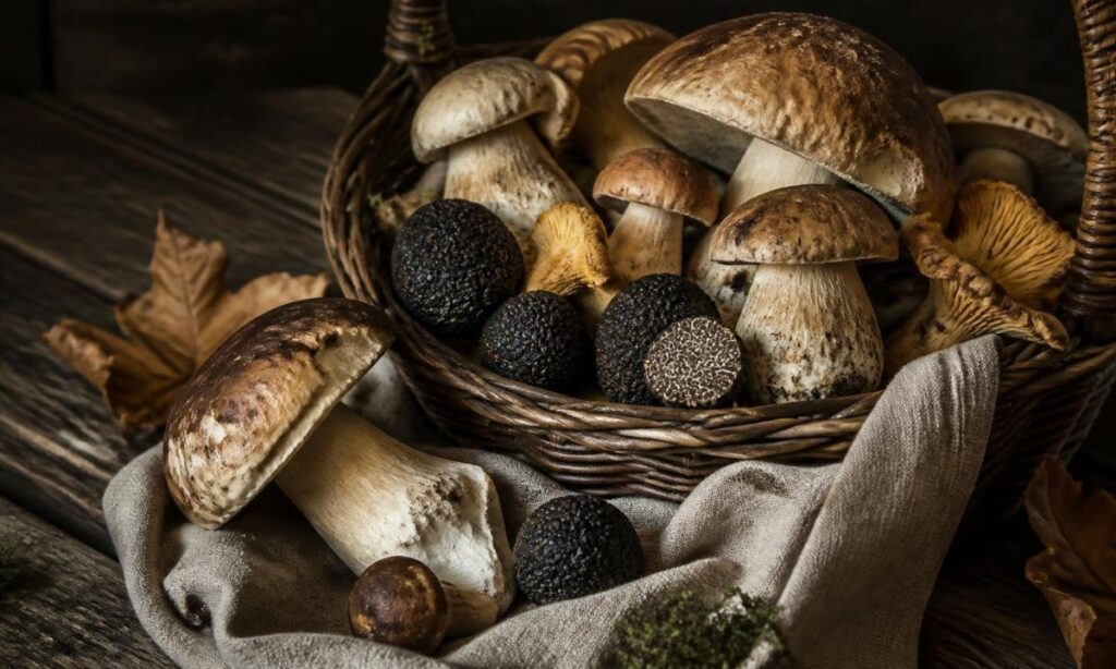 Cesto di vimini pieno di funghi porcini freschi e tartufi neri, appoggiato su un tavolo di legno scuro. Un panno di lino chiaro scende dal bordo del cesto, con alcuni porcini sparsi e foglie autunnali in primo piano, illuminati da una luce calda laterale su sfondo scuro.